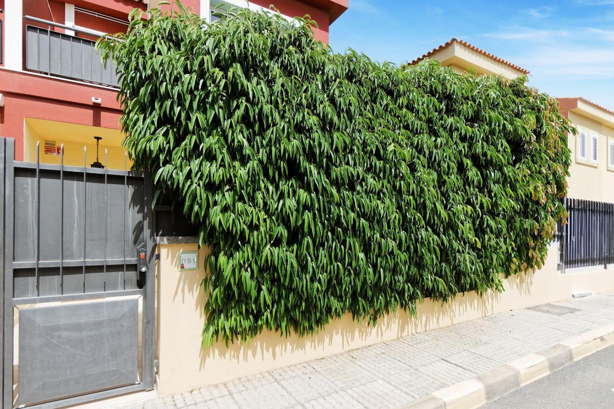 Villa Anil Meloneras San Bartolomé Exterior photo