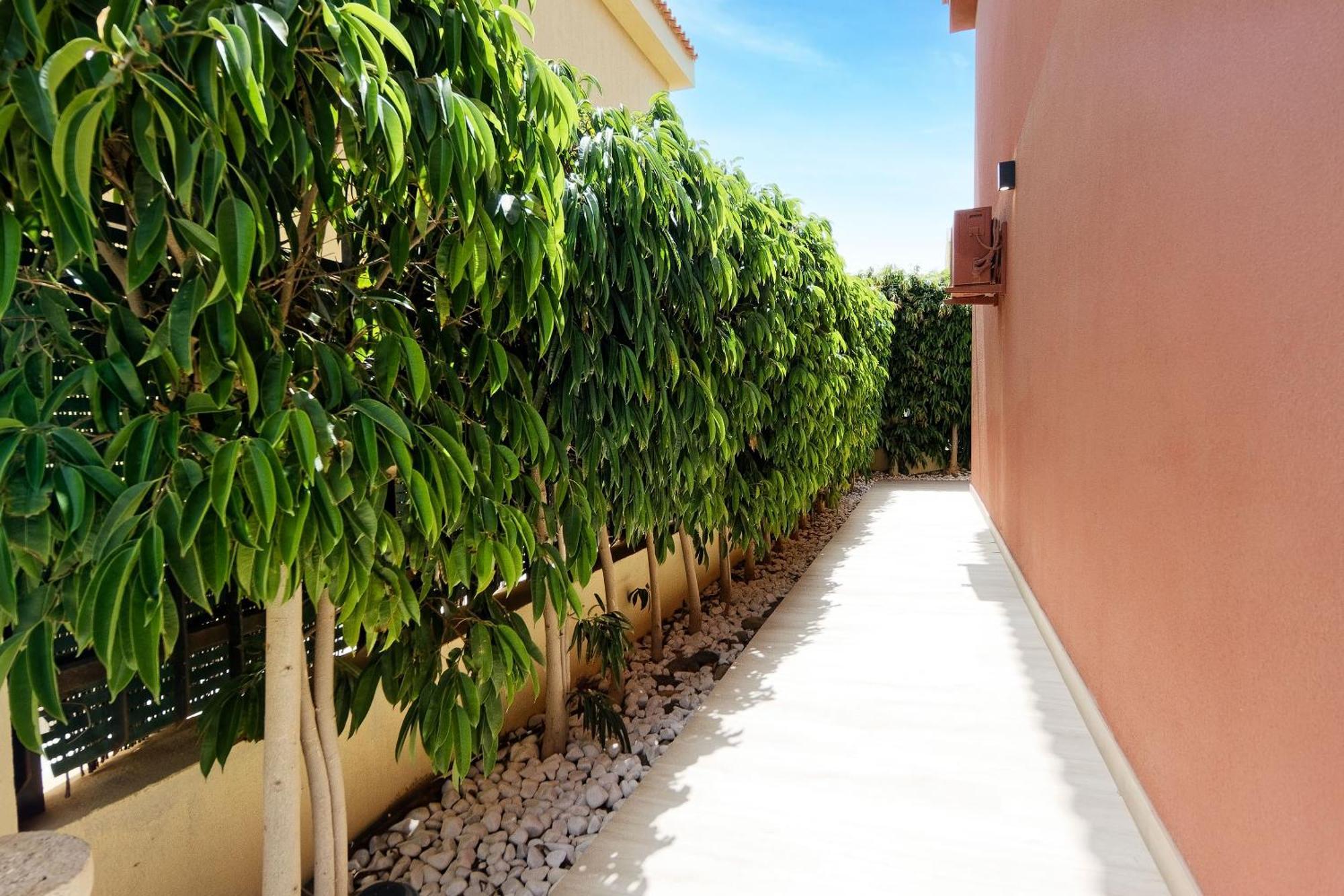 Villa Anil Meloneras San Bartolomé Exterior photo